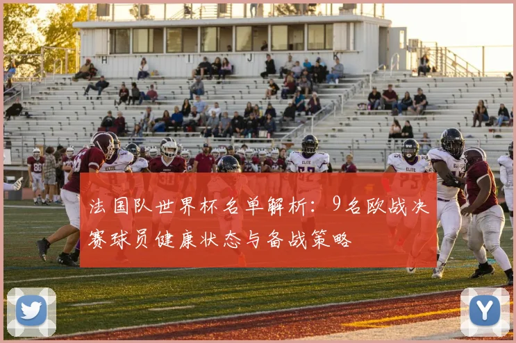 法国队世界杯名单解析:9名欧战决赛球员健康状态与备战策略
