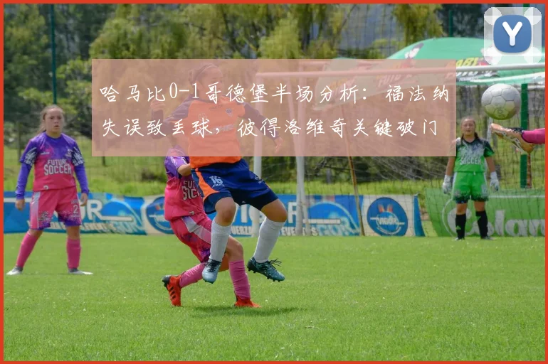 哈马比0-1哥德堡半场分析:福法纳失误致丢球,彼得洛维奇关键破门战术解读